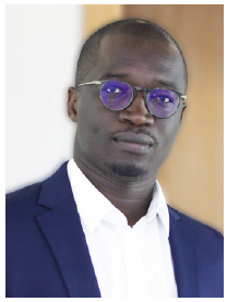 Mamadou Gueye, Économiste